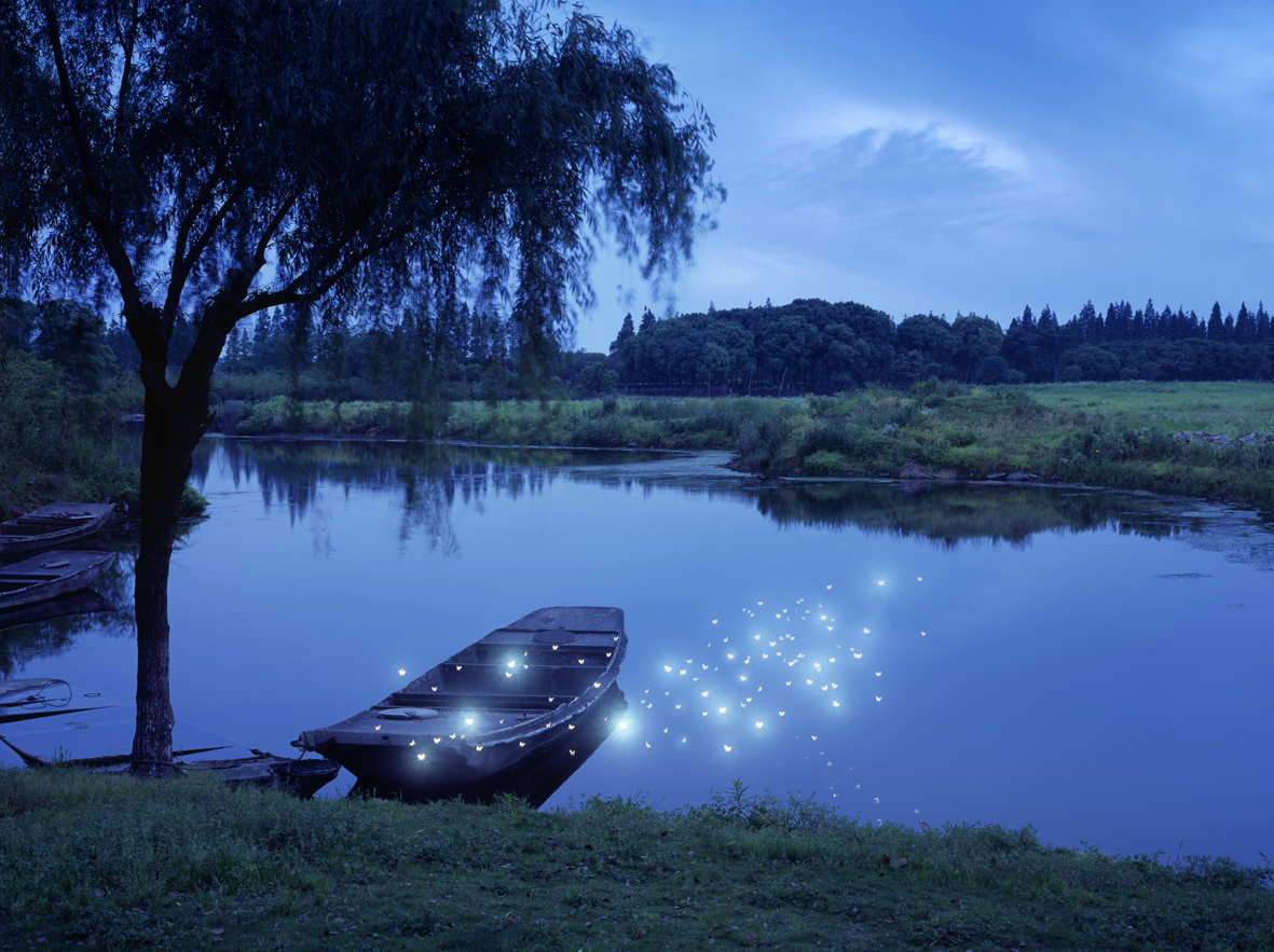 butterfly-lake
