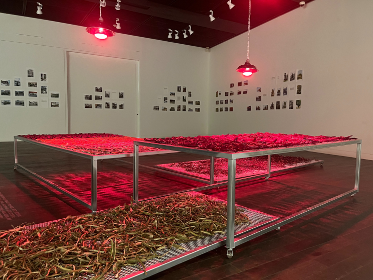 Weekend on Isle of Portland, Installation, Cement and iron, 2023