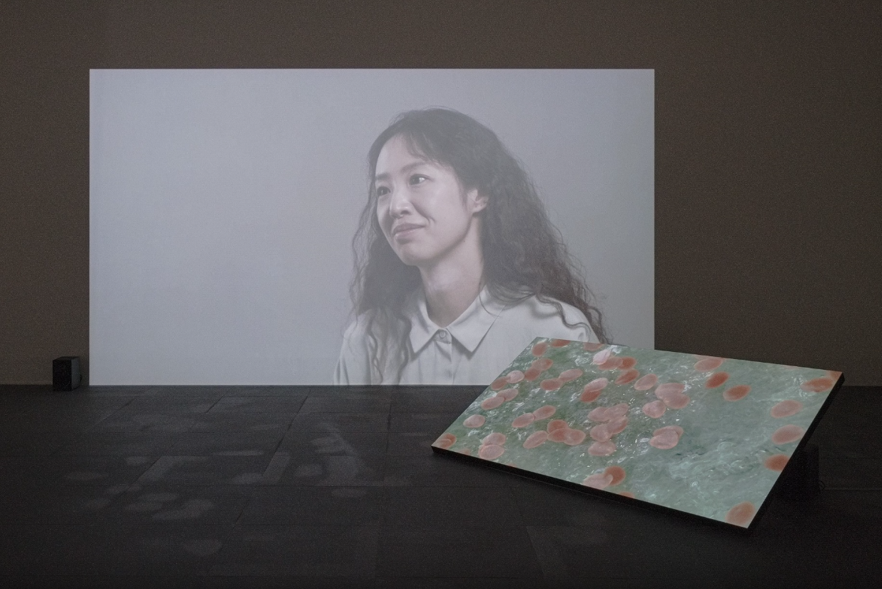 Weekend on Isle of Portland, Installation, Cement and iron, 2023